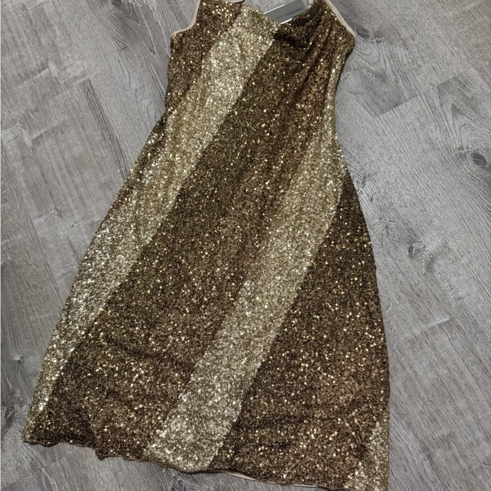 Anthropologie Bl-nk Kayla sequin dress - Picture 7 of 7